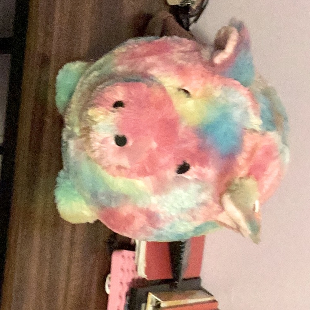 It’s a piggy bank
